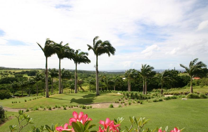 Coconut Grove 1, Luxury Villa By Island Villas Saint James Værelse billede
