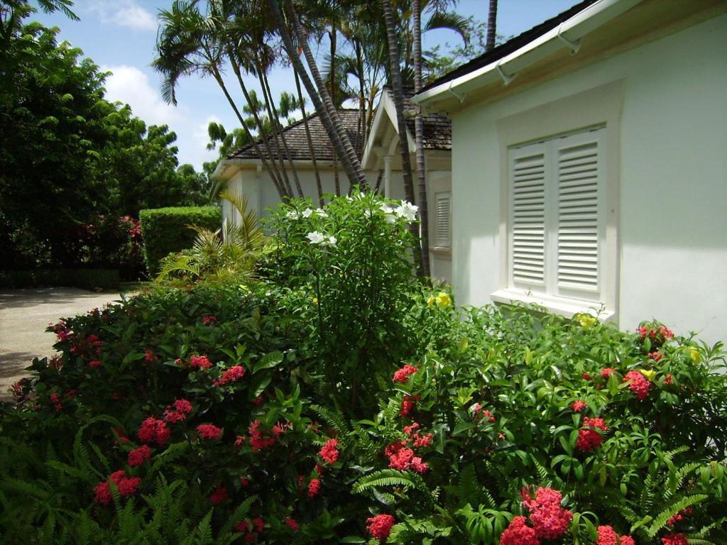 Coconut Grove 1, Luxury Villa By Island Villas Saint James Værelse billede