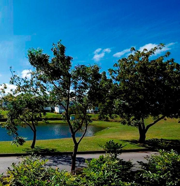Coconut Grove 1, Luxury Villa By Island Villas Saint James Eksteriør billede